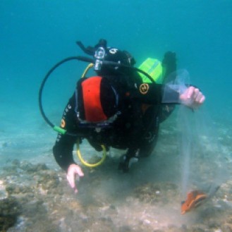 Ariel diving at Dor as a part of an Underwater Survey and Field Methods course.